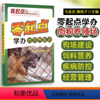 [正版]肉狗养殖技术书籍 零起点安全高效养殖大种肉狗全套养狗大全书防狗病书教程小狗土狗饲养管理及疫病防制的书 营养配方宝