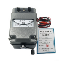 和居态 兆欧表 500V 个