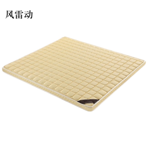 风雷动椰棕床垫家用棕垫D6cm高密度款(织锦面料+高密度0胶水天然椰棕)900mm*2000mm