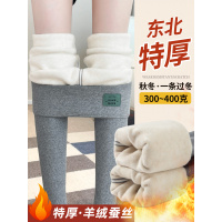 灰色加绒打底裤女秋冬外穿新款配裙子冬裤小个子保暖棉裤秋裤