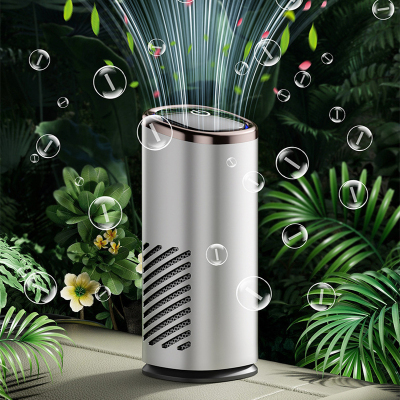 百晟长恒 BSCH-XP53S 除甲醛异味 tvoc 除菌 便携式 车载净化器 1.00 /台 车载净化器(计价单位:台