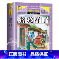 骆驼祥子 [正版]小王子原著小学生三四五六年级上下册学期阅读课外书必书籍经典书目 儿童文学故事书快乐读书吧彩图升级加厚版