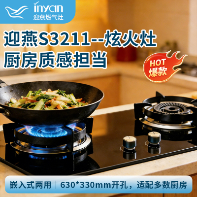 迎燕inyan一级双炉头大火力燃气灶液化气灶热电偶熄火保护高效节能燃烧