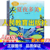 夏夜多美 [正版]夏夜多美人民教育出版社彭万洲著一年级下册彩图注音版人教版语文配套阅读王林主编课文作家作品系列儿童小学生