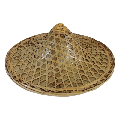 永满铁运 斗笠 遮阳帽 46cm 个