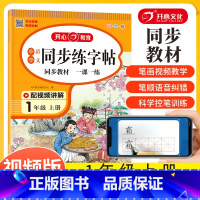 1本]一年级上.同步练字帖人教版 语文 [正版]读读童谣和儿歌一年级下册全套4册快乐读书吧人教版小学生桥梁注音版语文课外