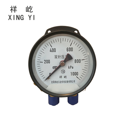 祥屹 双针双管压力表 YCS100-II 24V 台