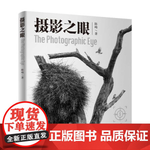 摄影之眼 构图有术 摄影有法 构图法册全解密 5年打磨:全球摄影大赛金奖摄影师力作 现代艺术摄影理论正版书清华大学出版社