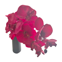莘煊 仿真花摆件 单只+花瓶 套