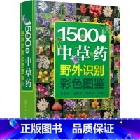 [正版] 书籍1500种中草药野外识别彩色图鉴