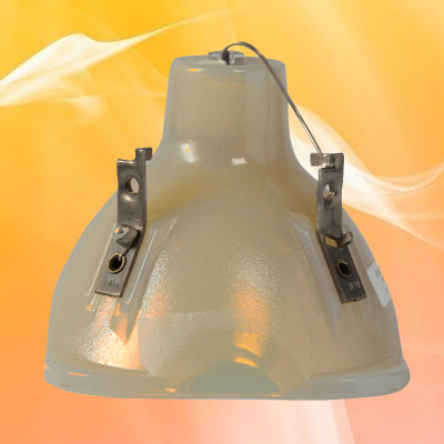 成越全新爱其EIKI LC-SX6A投影机灯泡投影仪灯泡_QTh47