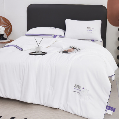 唐纳家纺 聚乳酸呼吸被 被芯200*230CM/2500G- TN-SAQ24018