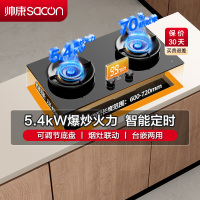 帅康(sacon)3B815燃气灶嵌入式双眼灶5.4kW大火力可调节定时钢化玻璃台嵌两用家用炉具炉灶双灶台式煤气灶液化气