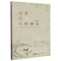 [N]远去的乡村岁月-9787539677866