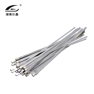 仨鑫 不锈钢扎带 7.9*500mm/包