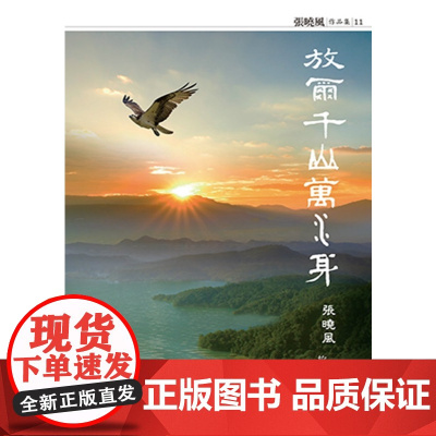 放尔千山万水身:张晓风旅游散文精选 张晓风作品集 张晓风 九歌