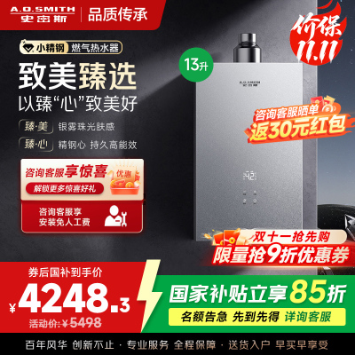 AO史密斯新品小体积13升精钢燃气热水器[小精钢EC5]静音 持久恒温 天然气 JSQ26-EC5