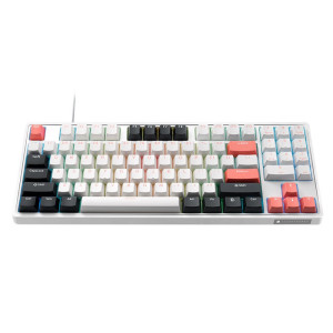 雷神(ThundeRobot)KG3089破晓 有线游戏机械键盘 电竞家用89键全键无冲 键线分离 PBT双色键帽 红轴 白色