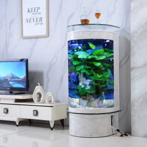 鱼缸客厅小型家用造景落地半圆形玻璃鱼缸水族箱生态免换水轻奢新款立式圆柱形鱼缸