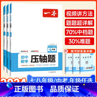 初中数学压轴题 九年级/初中三年级 [正版]初中数学七年级压轴题2024有理数方程初一必刷上册下册专题专项训练解题方法答