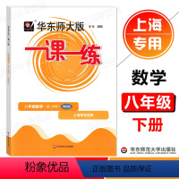 数学(增强版) 八年级下 [正版]2024春 华东师大版 一课一练八年级下册数学增强版 8年级下册/第二学期 上海初中教