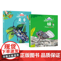 全2册昆虫绘系列铁嘴锯工天牛夏季歌者蝉精装绘本图画书昆虫绘手绘科普3-6岁让小朋友了解天牛和蝉的图画书未来出版社正版童书