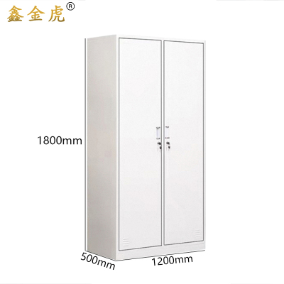鑫金虎两门储物柜存包柜BX4 1200*500*1800mm