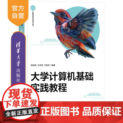 [正版新书]大学计算机基础实践教程 陈如琪、王学伟、于丽芳 清华大学出版社 实践