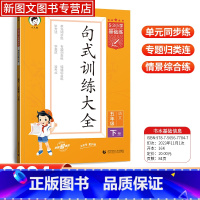 语文 五年级下 [正版]2024新版53小学基础练语文句式训练五年级下册小学句子造句仿句修改病句阅读理解专项训练
