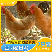 雀淘 皖南金凤黄油老母鸡2.3-2.6斤/只 2只装 新鲜现杀冷冻净膛农家竹林慢养走地鸡