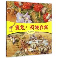 正版新书]神奇变焦科普系列(共4册)(英)奥菲斯出版社|译者:丁洁
