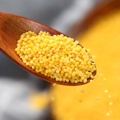 新米赤峰小米天山大金苗农家黄小米真空杂粮敖汉2斤装新米高品质