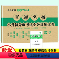 [正版]2024版直通名校 小升初分班考试全效训练试卷 数学 名校名卷 小考重点小学升初中招生分班考试卷子 五六年级毕