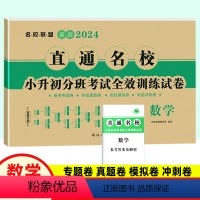 [正版]2024版直通名校 小升初分班考试全效训练试卷 数学 名校名卷 小考重点小学升初中招生分班考试卷子 五六年级毕