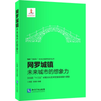 音像网罗城镇卜希霆,王青亦 等 著;范周 丛书主编
