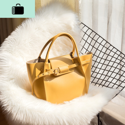 包包女2020新款手提包简约时尚大容量翅膀包秋千包单肩包斜挎大包NEW LAKE女斜挎包