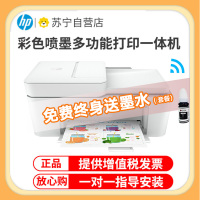 惠普(hp)DJ4178彩色喷墨一体机A4无线打印 扫描 复印家用学生手机无线打印机打印复印机手机无线打印复印扫描一体机无线打印一体机照片打印机 标准配置