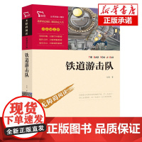 铁道游击队书 小学生红色经典书籍革命传统教育读本 三四五六年级寒暑假学校 书目儿童课外读物书革命英雄故事书正版