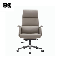 国隽 办公椅 GJBGY-201 把