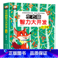 左右脑智力大开发2~3岁 [正版]全脑开发700题1000题2-3岁儿童早教书幼儿园宝宝小班数学思维逻辑训练专注力训练书