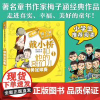 特务足球赛-戴小桥和他的哥们儿 (升级版) 戴小桥和他的哥们儿系列 再添新作 梅子涵 历时两年 全新 作品。