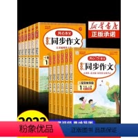 [全套3册]同步作文+同步练字帖+阶梯训练 二年级上 [正版]2023新版小学生同步作文一二三四五六年级上册下册人教版阶