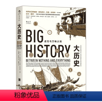 [正版] 大历史虚无与万物之间平装本 现代科学的起源故事 打破地域种族界限 网络公开课书籍普及读物