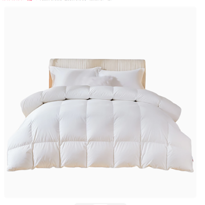 长霖羽绒被2*2.3m/床