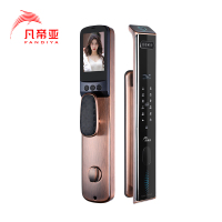 凡帝亚智能锁智能门锁FDY-C18 3D人脸识别,远程解锁,视频对讲、电子猫眼、移动侦测、抓拍照片、全自动开锁和上锁