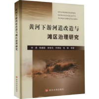 音像黄河下游河道改造与滩区治理研究李勇等著
