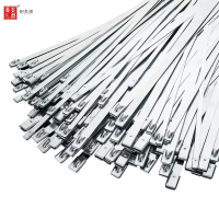 泰炙鼎 不锈钢扎带 19*1700mm 根