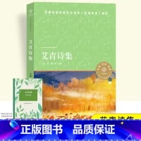 艾青诗选 [正版]译林出版社 艾青诗集精选艾青诗选原著九年级上册必读课外书青少年版中国现代诗集初中生初三语文阅读老师无删