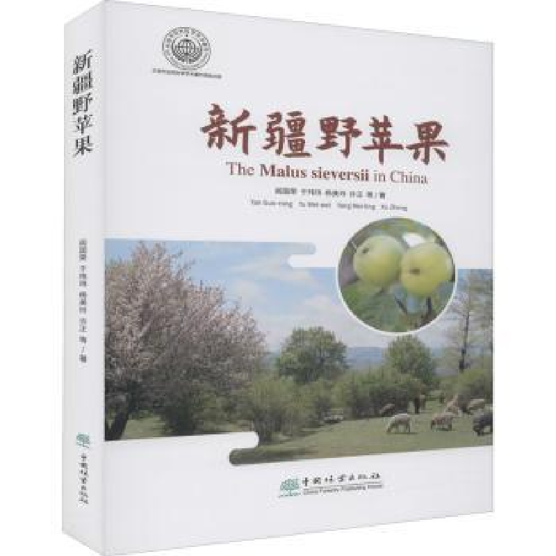 音像新疆野苹果阎国荣,许正,龙鸿 等