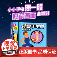 神奇手电筒科普绘本 全5册 4-8岁 宋海东著 创意互动多种方式 激发学习兴趣 引导独立思考